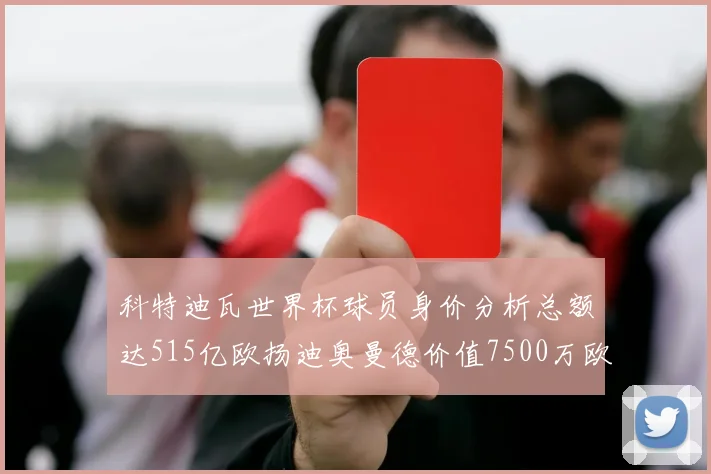 科特迪瓦世界杯球员身价分析总额达515亿欧扬迪奥曼德价值7500万欧