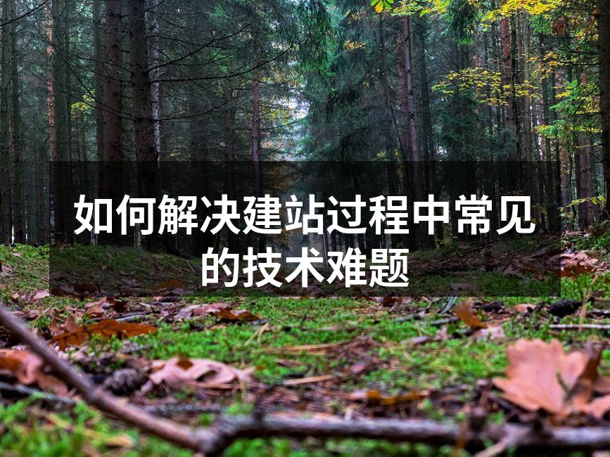 选择合适的域名和主机